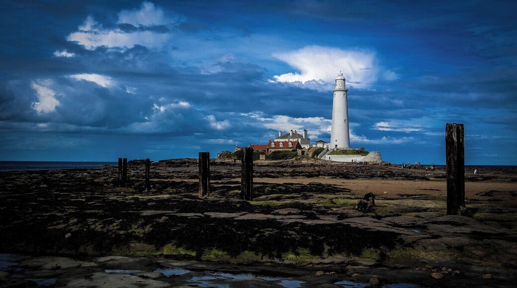 St Mary's Lighthouse is relatively modern, as lighthouses go, completed in 1898 and decommissioned 1984. Previous to the lighthouse, the island on which it stands was home to a chapel. Which through time gave way to an Inn which in turn was shut down due to the ' rowdy ' nature of it's patrons. A wide range of activity for any small island.