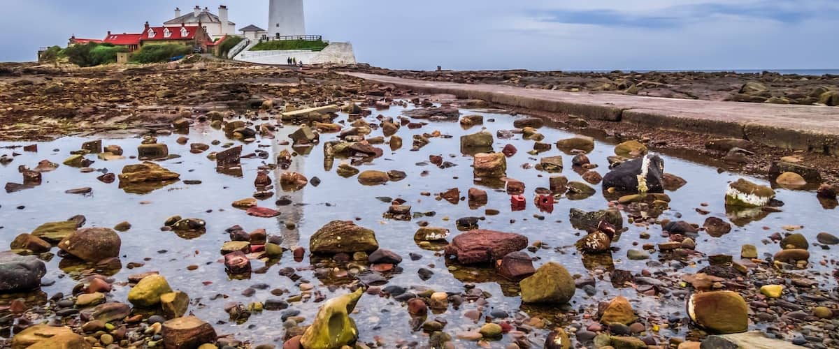 A rocky shoreline with a lighthouse and buildings in the background.