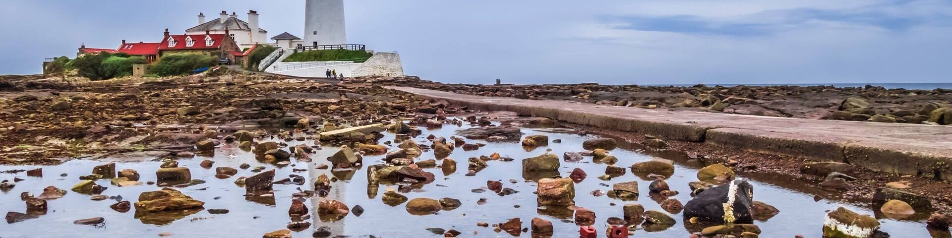 A rocky shoreline with a lighthouse and buildings in the background.