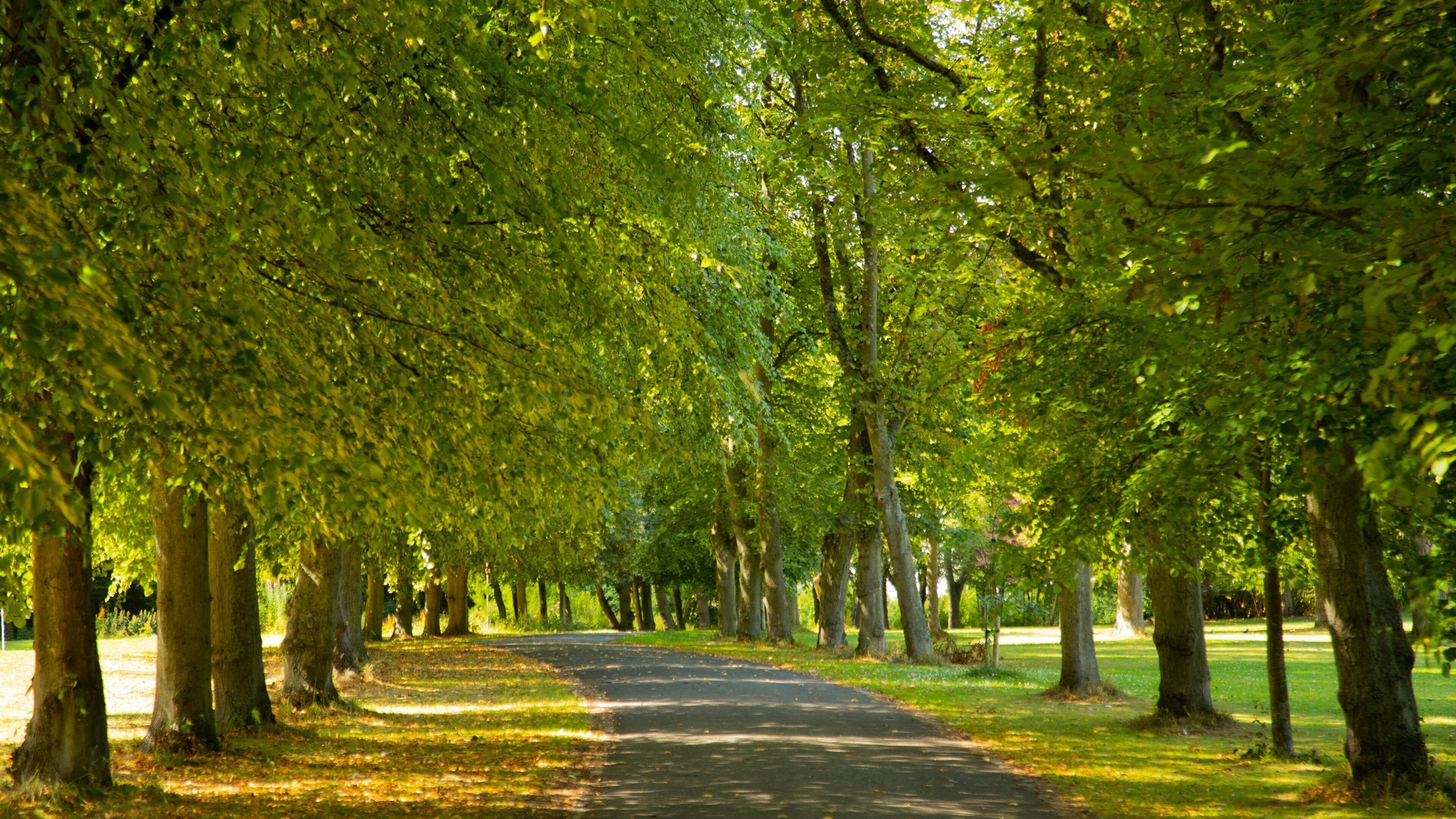 Leazes Park showing a park
