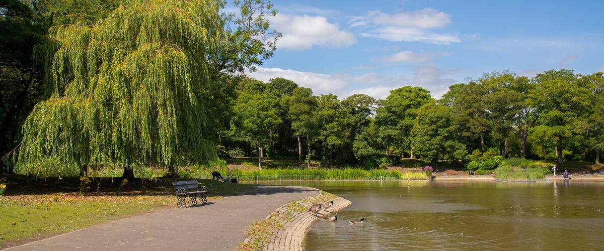 Leazes Park showing a pond