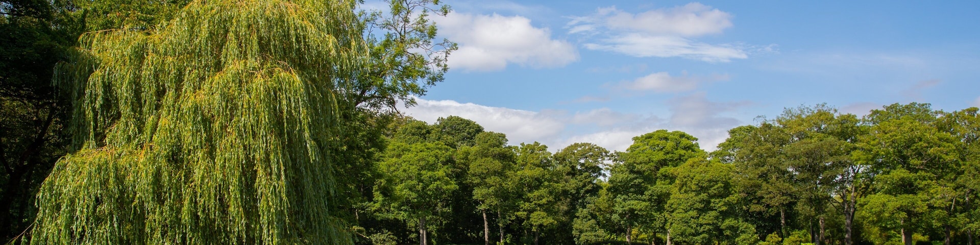 Leazes Park showing a pond