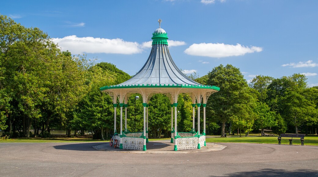 Leazes Park showing a park
