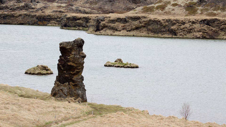 A rocky outcrop in a body of water with grassy banks.