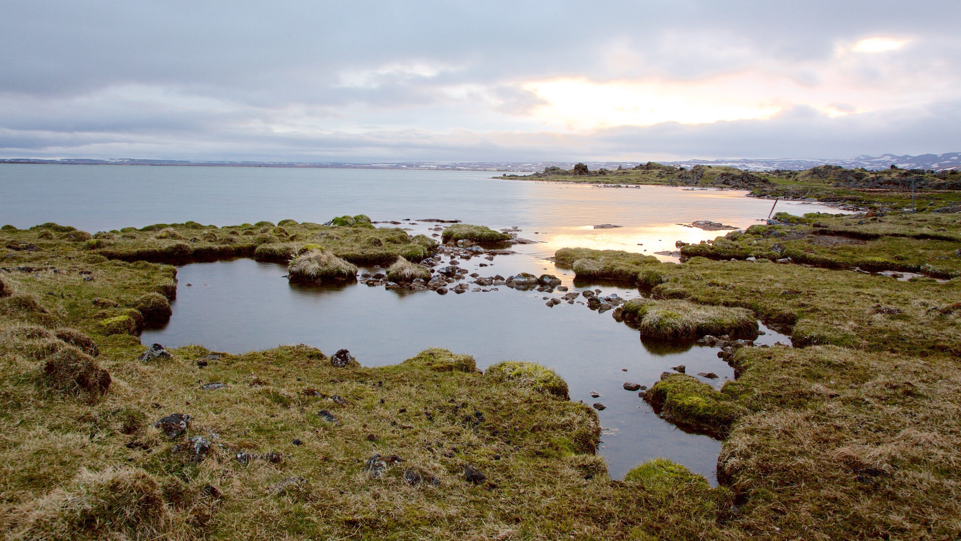 A coastal landscape with moss-covered rocks and a calm sea.