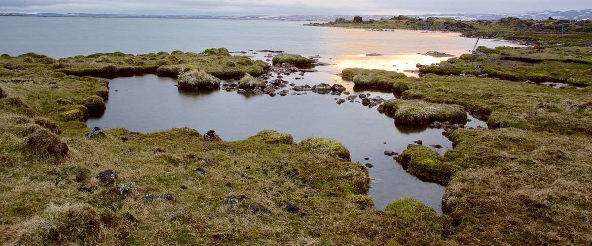 A coastal landscape with moss-covered rocks and a calm sea.
