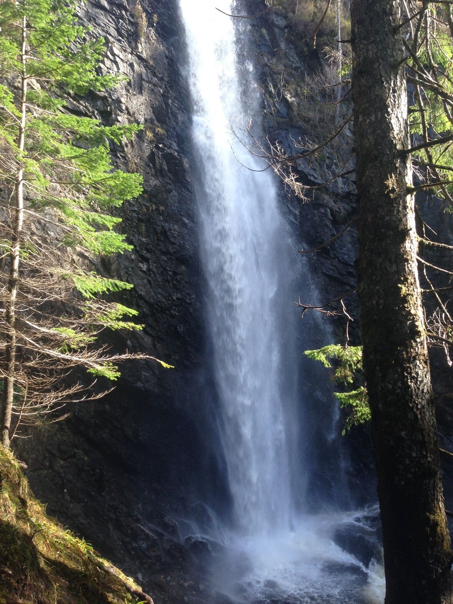 One of the waterfalls at Plodda Falls