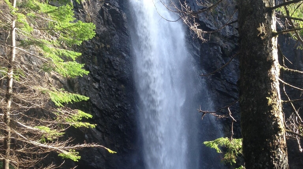 One of the waterfalls at Plodda Falls