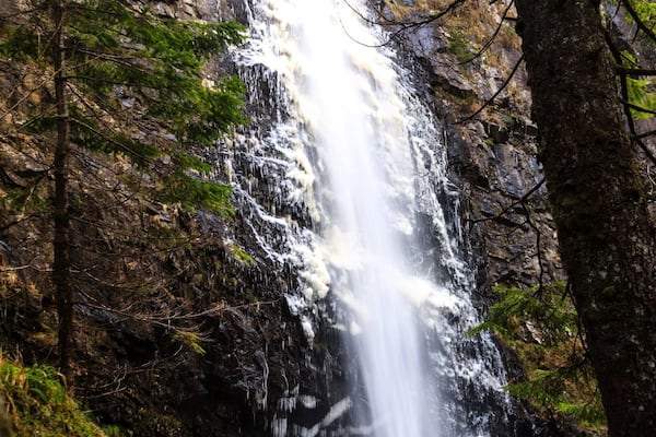 An icy plodda falls