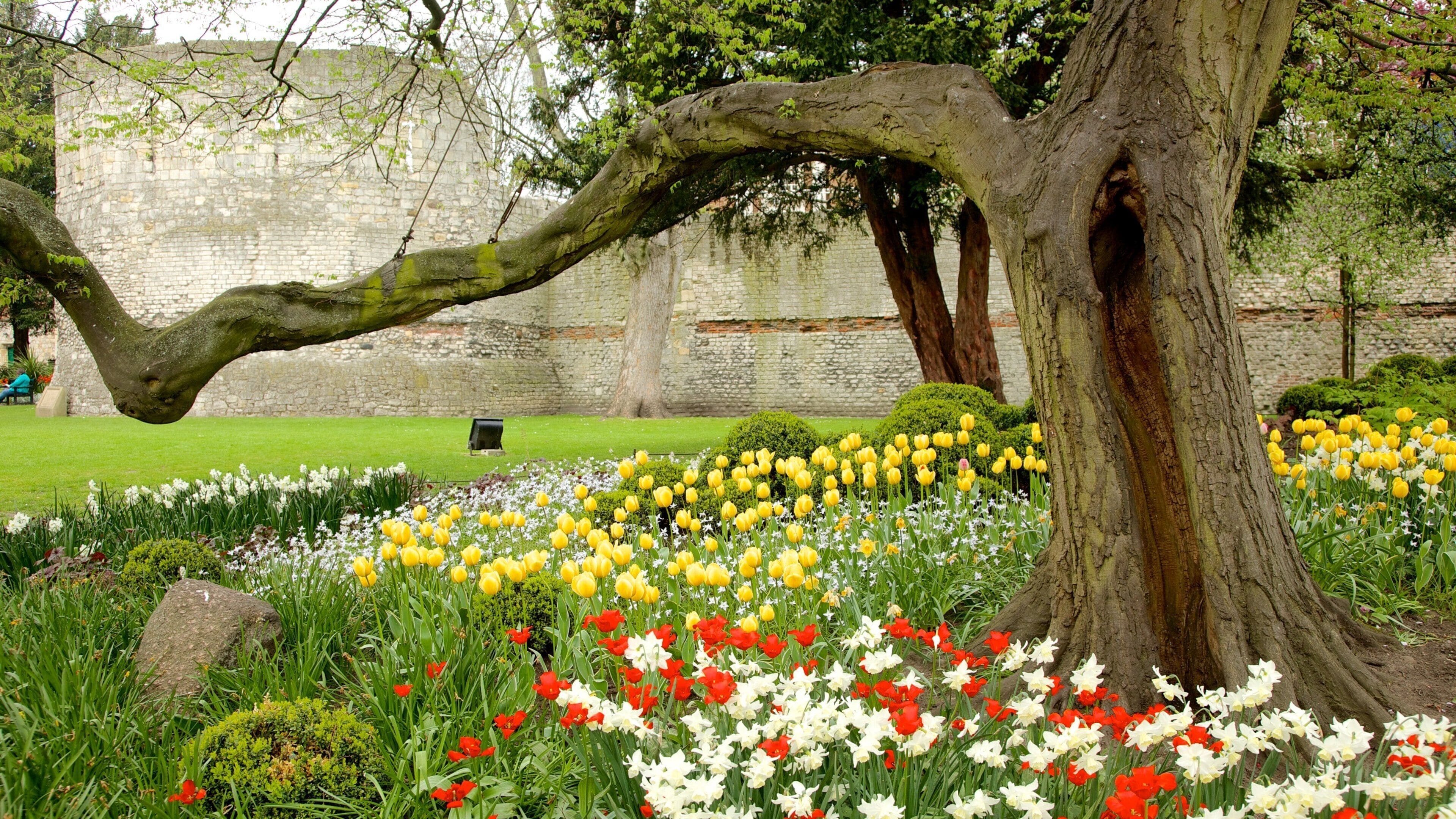 York que incluye un parque y flores
