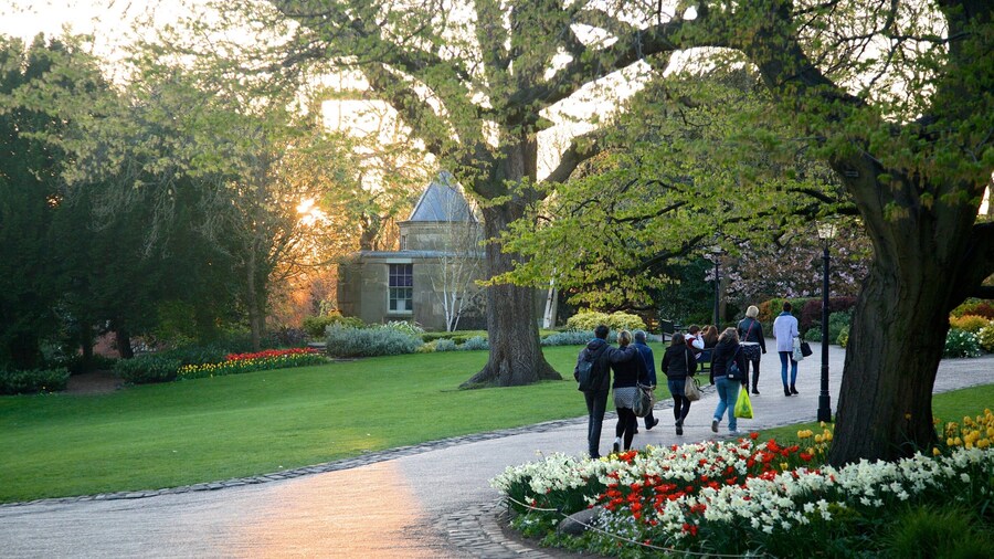 York qui includes parc