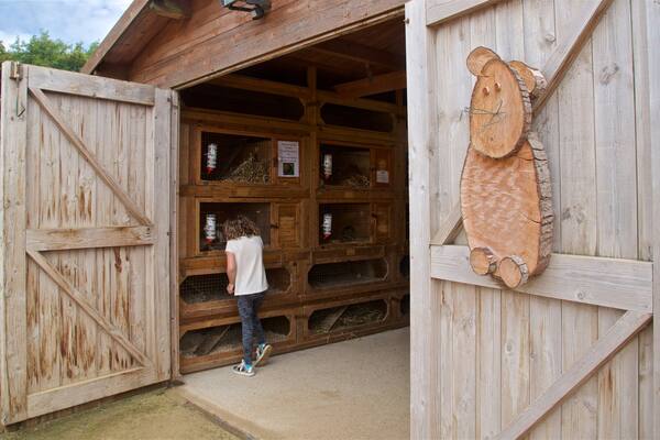 aMazin! Adventure Park & Maze qui includes ferme aussi bien que femme