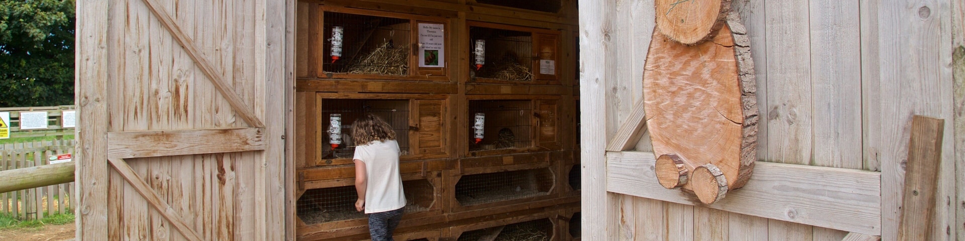 aMazin! Adventure Park & Maze que incluye granja y también una mujer