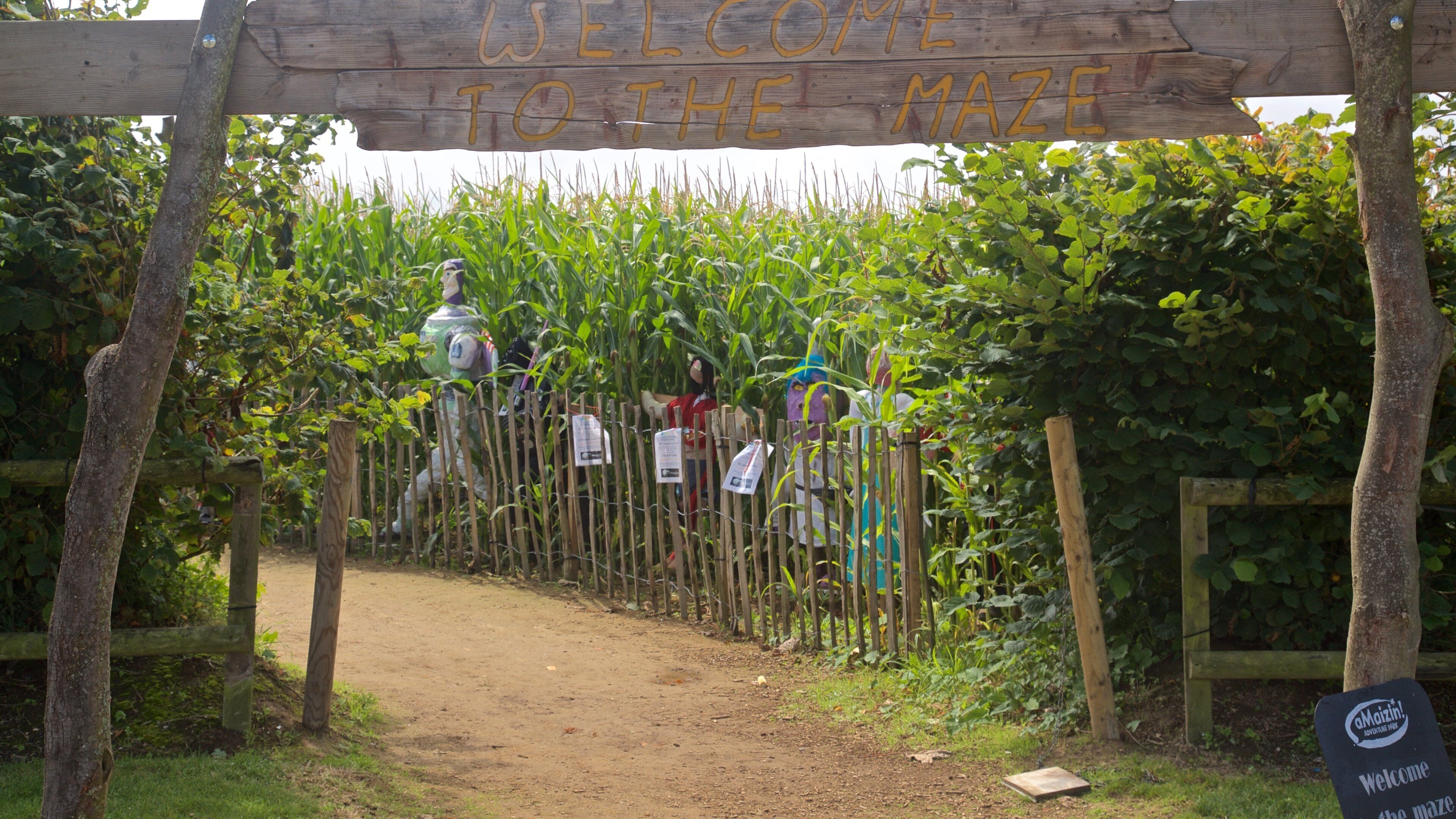 aMazin! Adventure Park & Maze montrant jardin