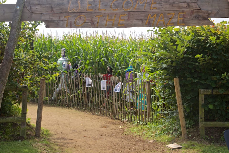 A wooden sign reading "Welcome to the Maze" with a dirt path leading through a cornfield.