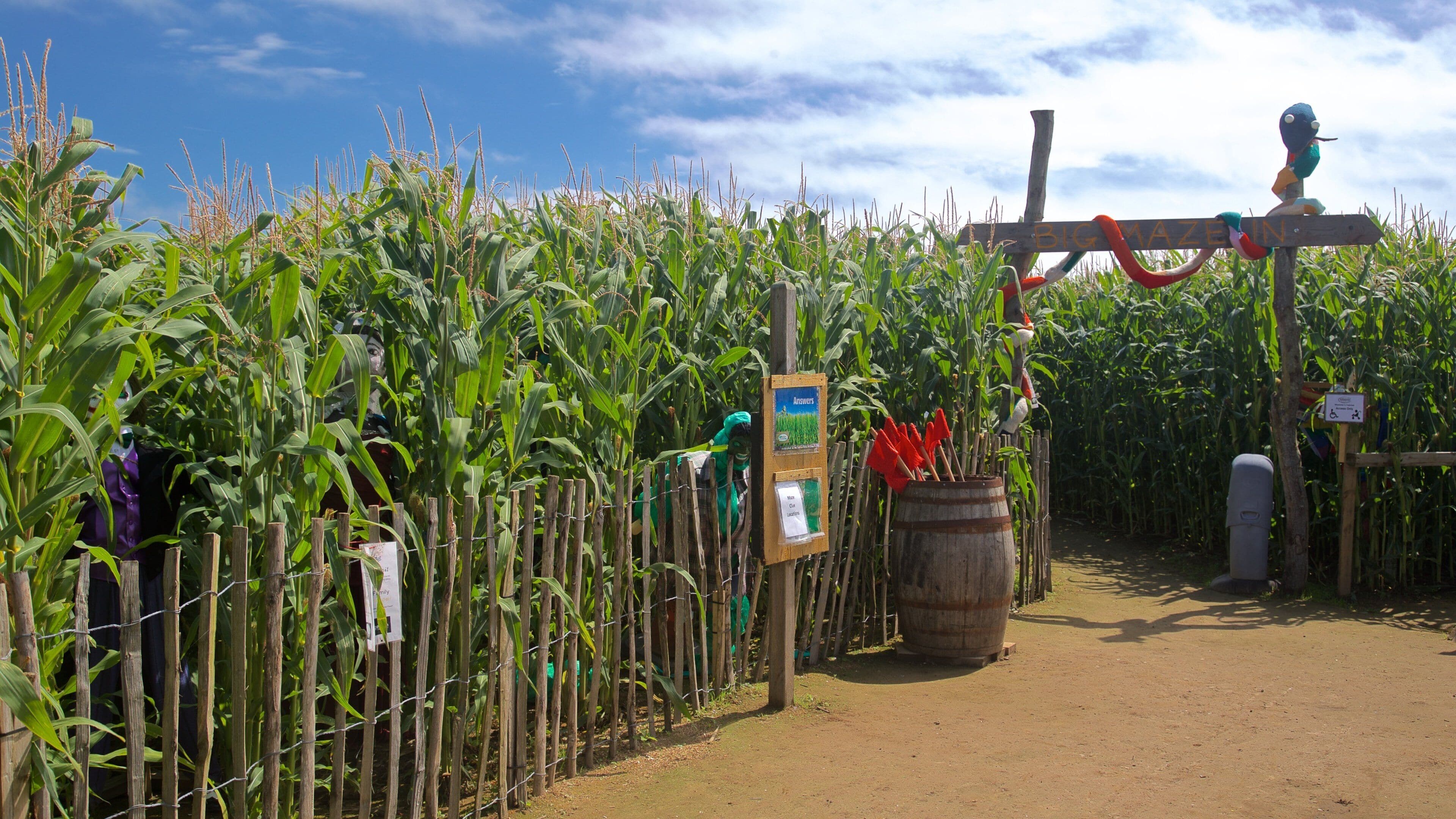aMazin! Adventure Park & Maze som inkluderer åkre