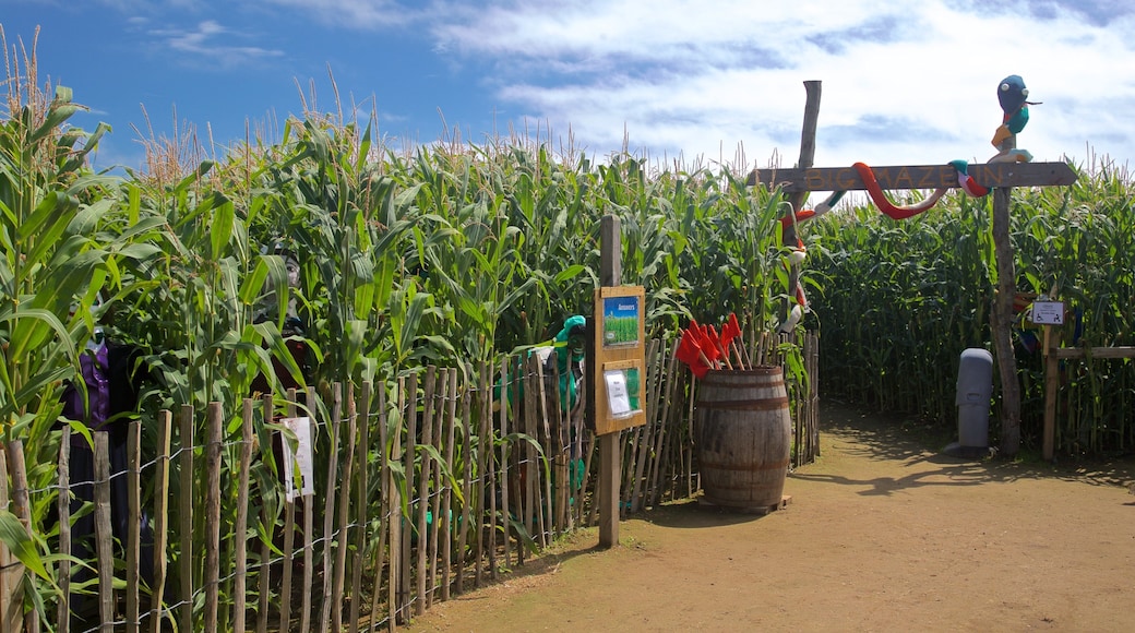 aMazin! Adventure Park & Maze som inkluderer åkre