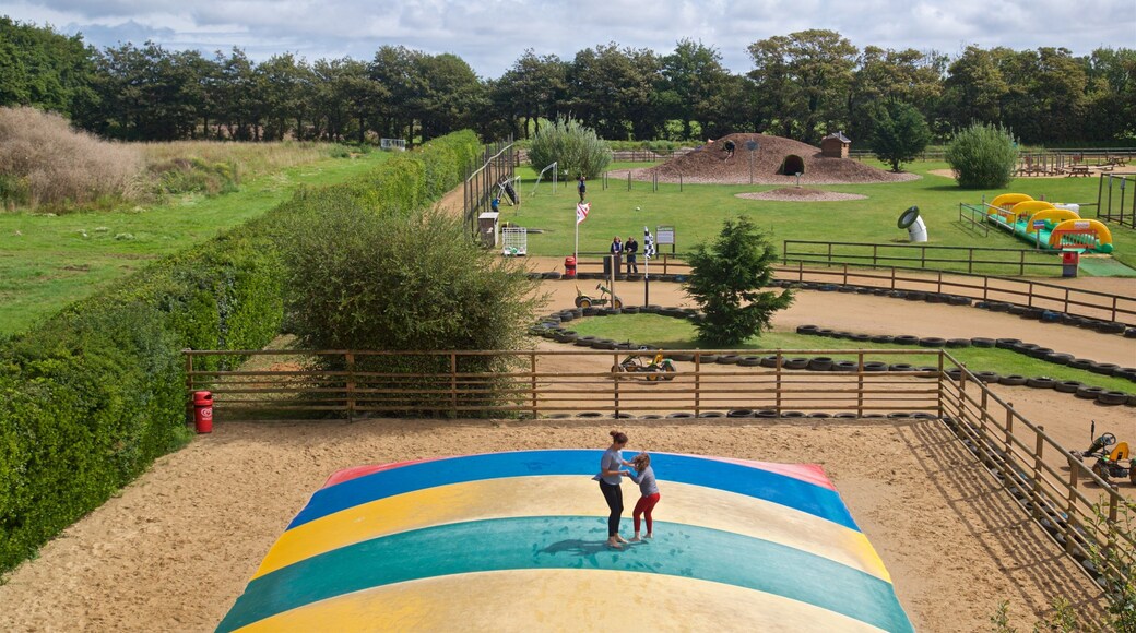 aMazin! Adventure Park & Maze featuring rides as well as a family