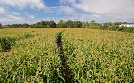 Bristol Airport Blue Islands Bristol To Jersey 78 Cheap Flights From