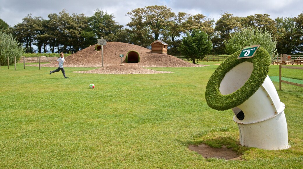 aMazin! Adventure Park & Maze showing a playground and a garden as well as an individual child