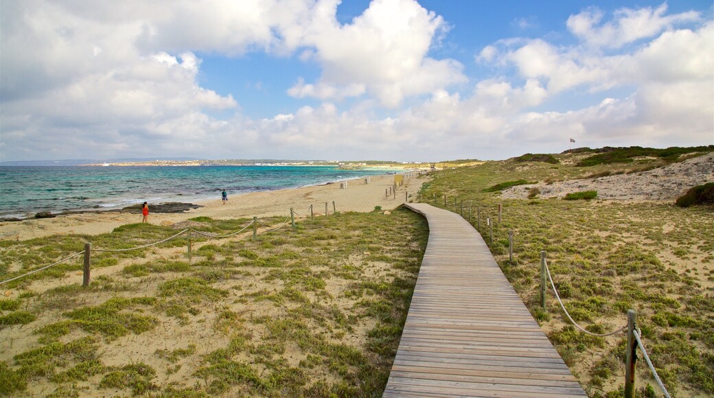 Llevant Beach which includes a sandy beach and general coastal views