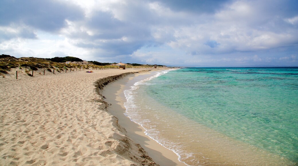 Llevant Beach featuring general coastal views and a sandy beach