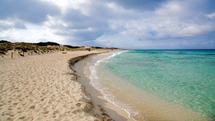 Llevant Beach featuring general coastal views and a sandy beach