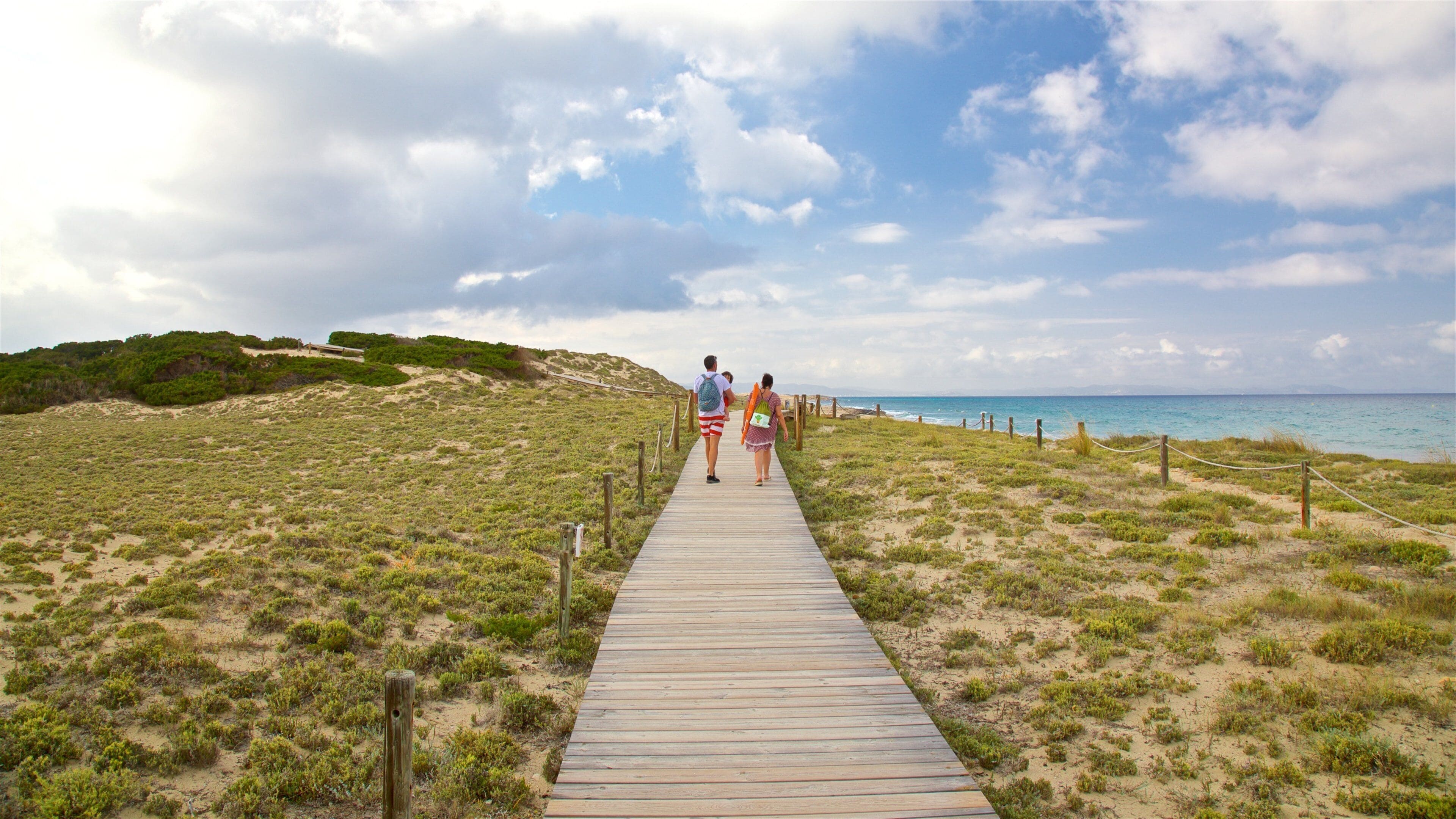 Llevant Beach which includes general coastal views as well as a family