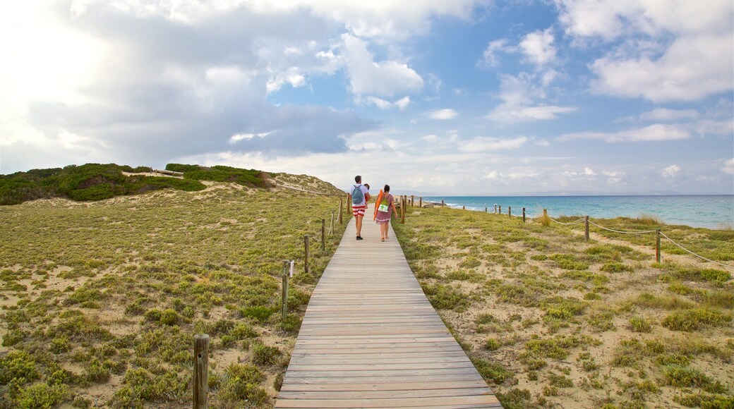 Llevant Beach which includes general coastal views as well as a family