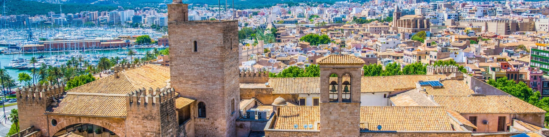 Aerial view of Palma de Mallorca with Almudaina palace, Spain