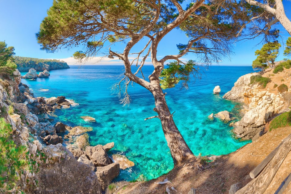 Een kustlandschap met helder turquoise water, rotsachtig terrein en pijnbomen.