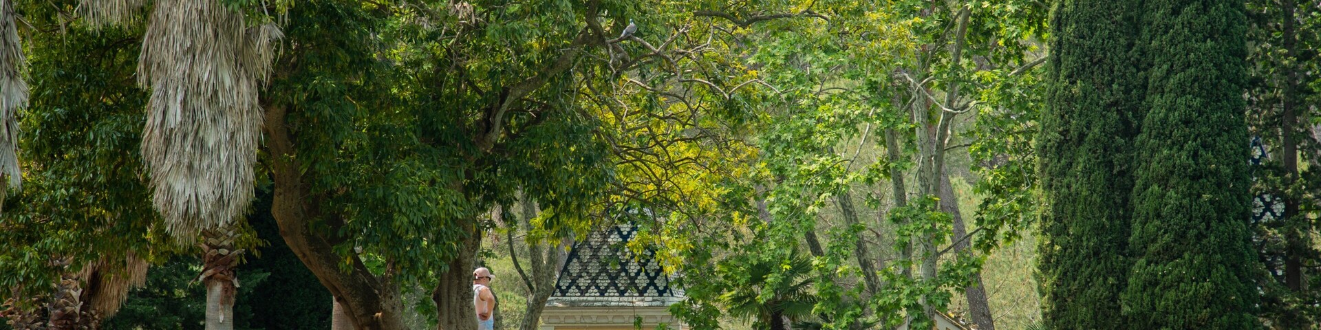 Parc Sama showing a pond
