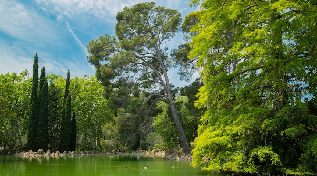Parc Sama showing a pond