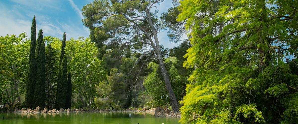 Parc Sama showing a pond