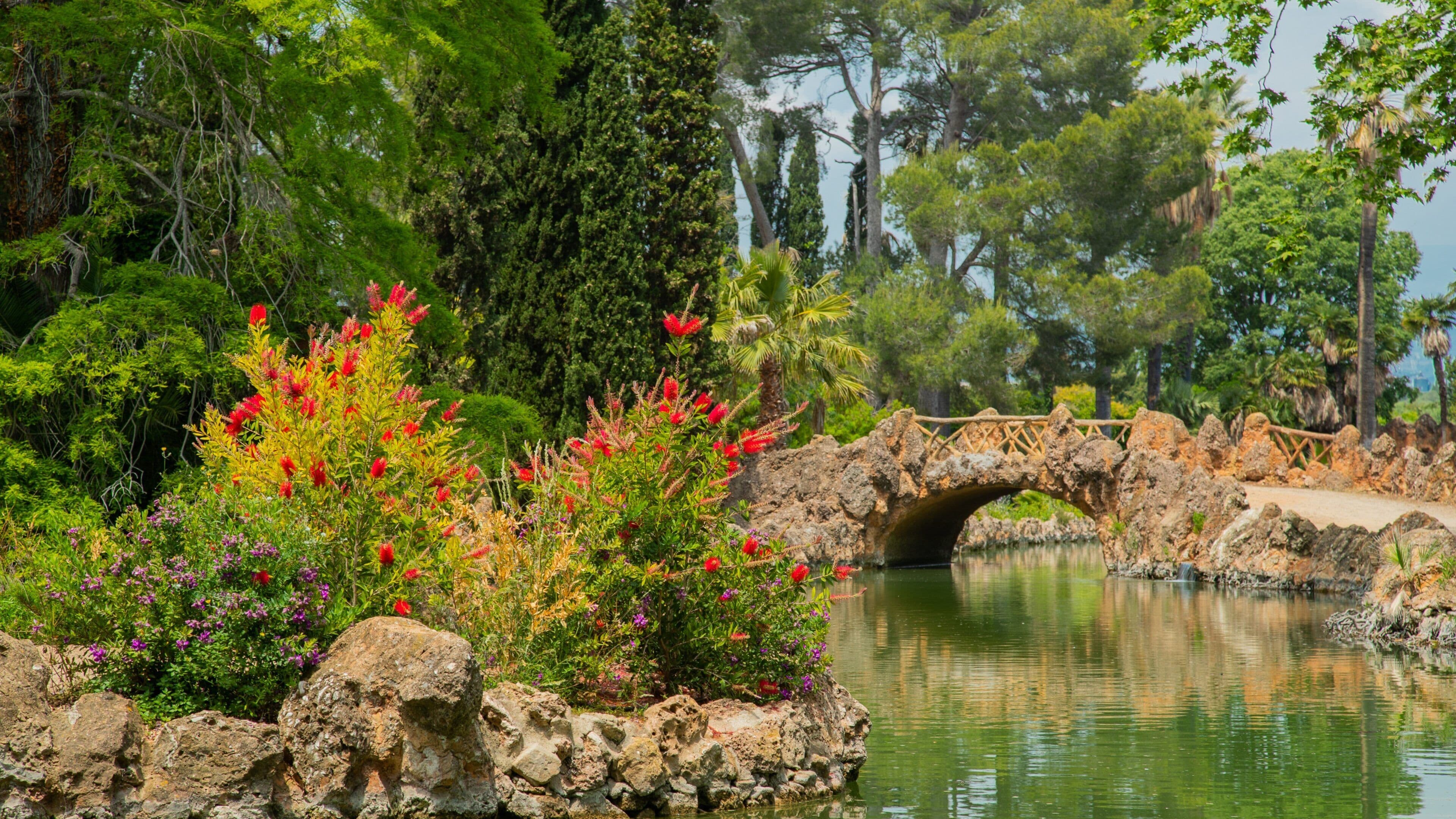 Parc Sama featuring wildflowers, a pond and a bridge