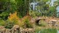 Un puente de piedra sobre un estanque tranquilo, rodeado de exuberante follaje y flores coloridas.