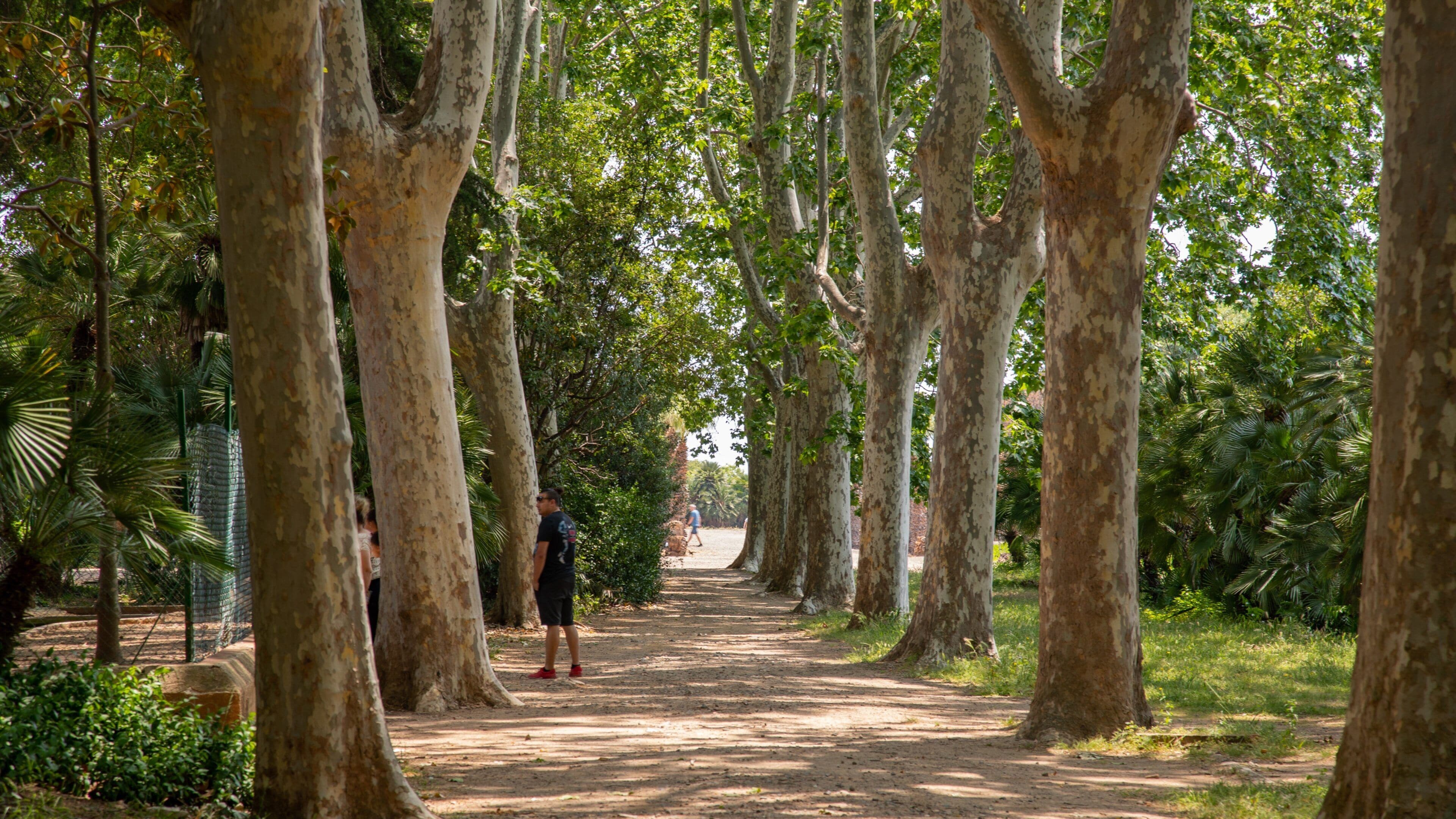 Parc Sama which includes a park