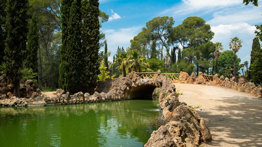 Parc Sama featuring a bridge and a pond