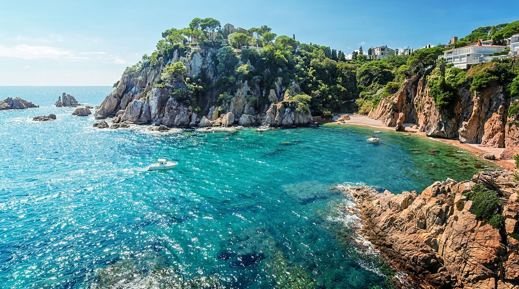 Jardín Botánico Marimurtra