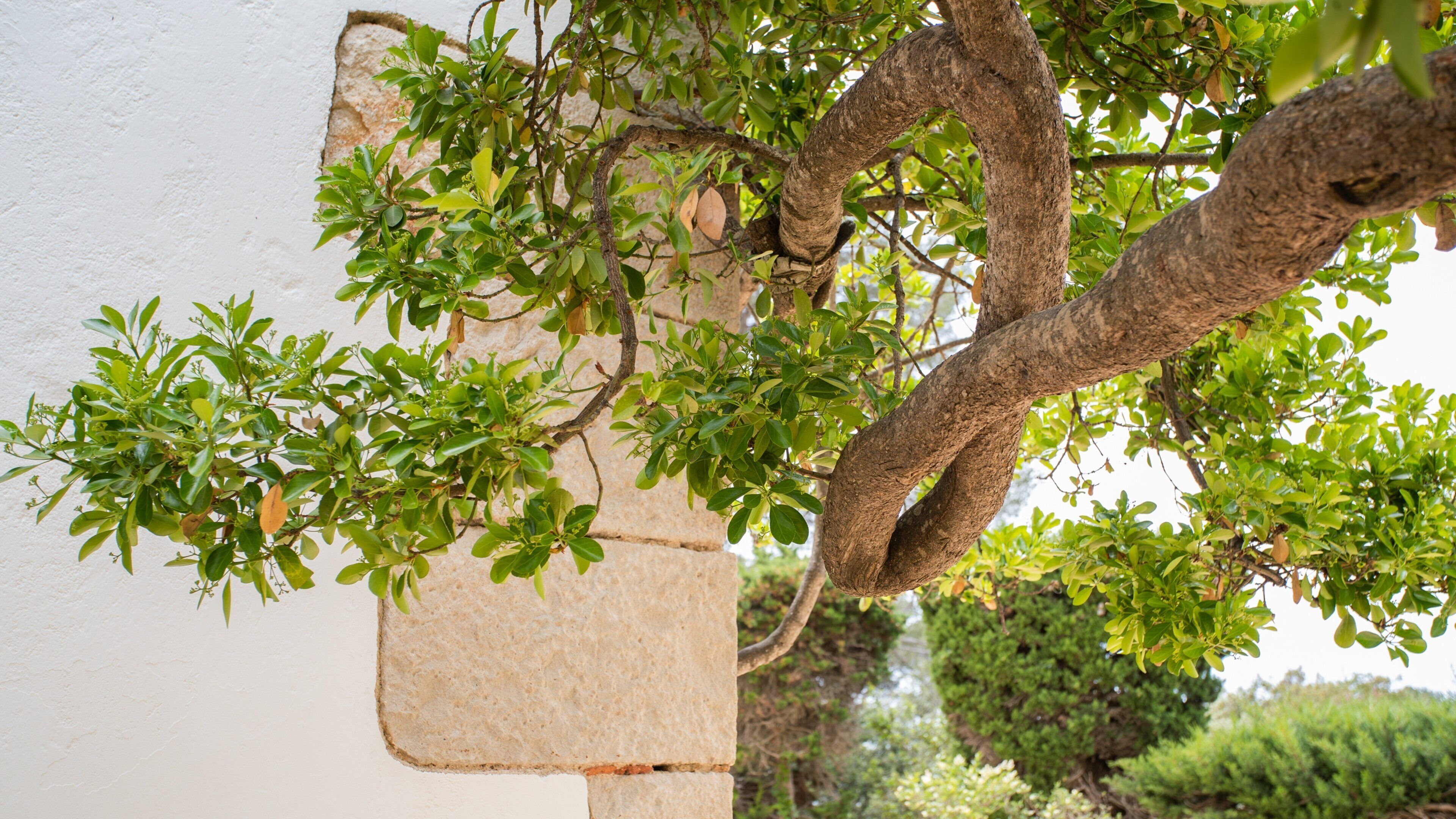 Santa Cristina\'s Shrine which includes a garden