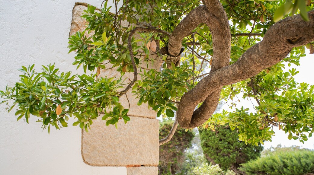 Santa Cristina\'s Shrine which includes a garden