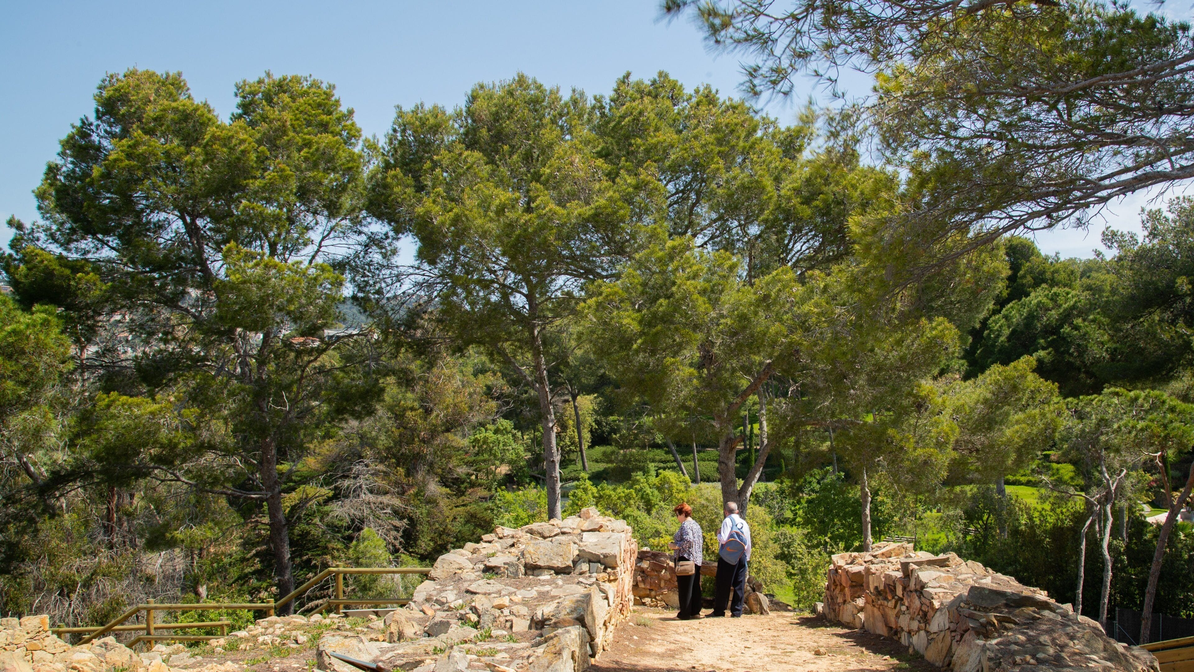 Turo Rodo Iberian Settlement showing a park as well as a couple