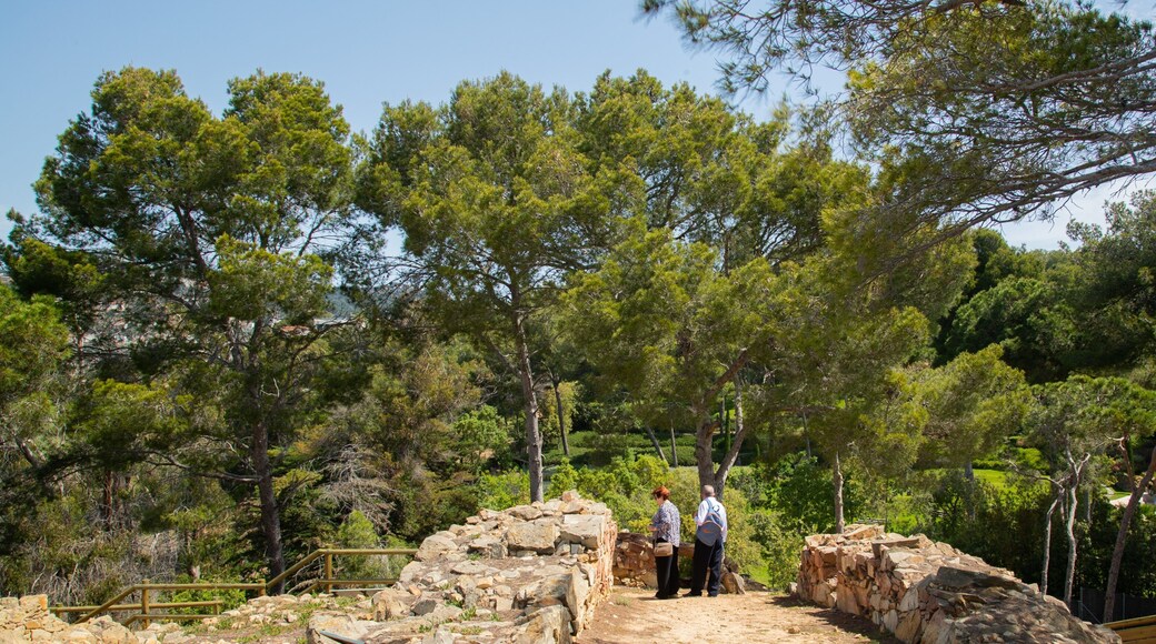 Turo Rodo Iberian Settlement showing a park as well as a couple
