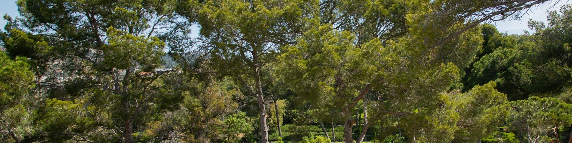 Turo Rodo Iberian Settlement showing a park as well as a couple