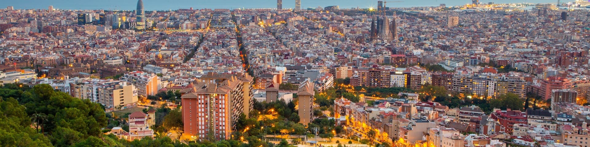 Turo de la Rovira featuring landscape views and a city