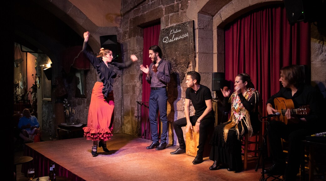 Palau de Dalmases which includes music, performance art and interior views