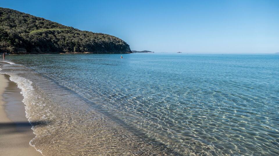 A clear beach with gentle waves, a sandy shore, and a forested hillside in the background.