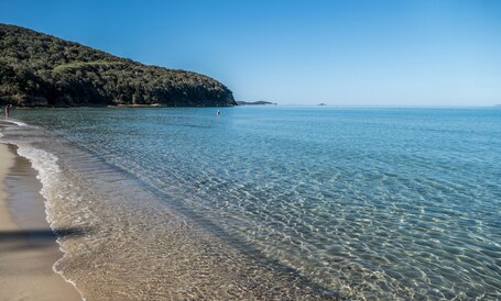 Une plage propre aux eaux calmes, un rivage sablonneux et, en arrière-plan, une colline boisée.