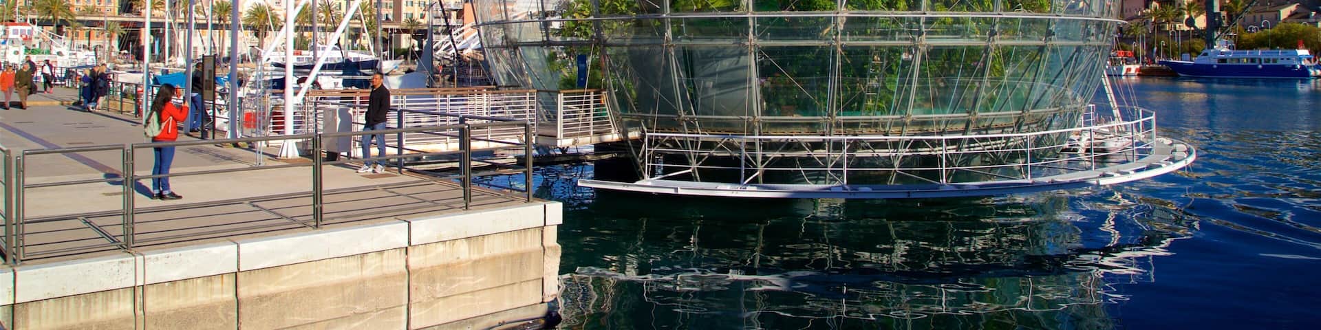 Biosfera which includes a bay or harbor