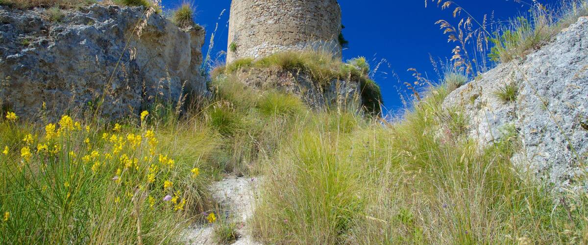 Torre Marrana
